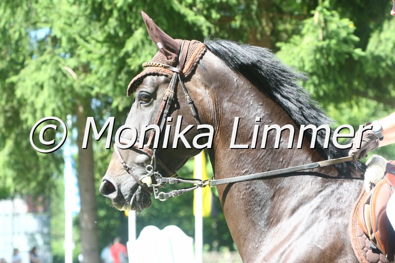 308M1783__Spring Mxx.JPG